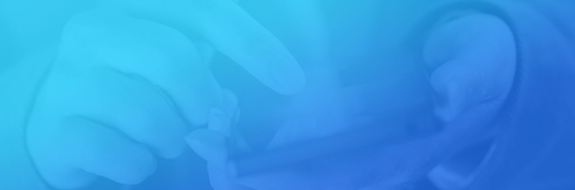 一網(wǎng)天行-網(wǎng)站建設(shè)|微信開發(fā)|小程序開發(fā) 一網(wǎng)天行-網(wǎng)站建設(shè)|微信開發(fā)|小程序開發(fā)