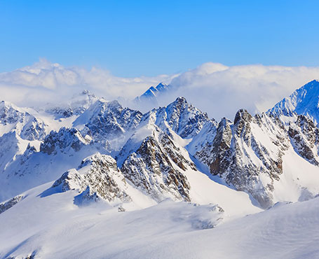 新毅控股企業(yè)宣傳網站|一網天行-網站建設小程序APP系統(tǒng)軟件開發(fā)公司