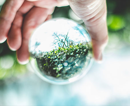 中關(guān)村節(jié)能環(huán)保專委會網(wǎng)站|一網(wǎng)天行-網(wǎng)站建設(shè)小程序APP系統(tǒng)軟件開發(fā)公司