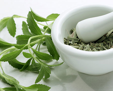 種藥吧-中藥供需信息發(fā)布平臺(tái)|一網(wǎng)天行-網(wǎng)站建設(shè)小程序APP系統(tǒng)軟件開發(fā)公司 種藥吧-中藥供需信息發(fā)布平臺(tái)|一網(wǎng)天行-網(wǎng)站建設(shè)小程序APP系統(tǒng)軟件開發(fā)公司