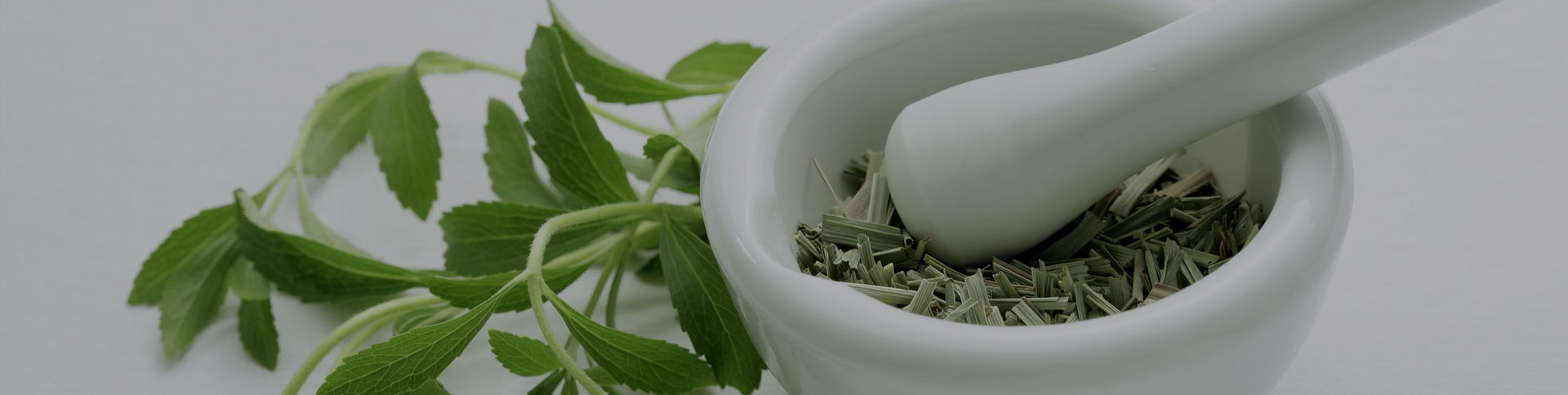 種藥吧-中藥供需信息發(fā)布平臺(tái)|一網(wǎng)天行-網(wǎng)站建設(shè)小程序APP系統(tǒng)軟件開發(fā)公司 種藥吧-中藥供需信息發(fā)布平臺(tái)|一網(wǎng)天行-網(wǎng)站建設(shè)小程序APP系統(tǒng)軟件開發(fā)公司