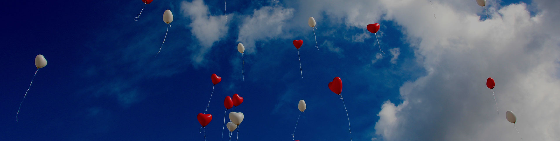 大眾籌-在線眾籌網站平臺|一網天行-網站建設小程序APP系統(tǒng)軟件開發(fā)公司