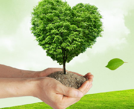 吉林天澤企業(yè)宣傳網(wǎng)站|一網(wǎng)天行-網(wǎng)站建設(shè)小程序APP系統(tǒng)軟件開發(fā)公司