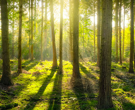 愛的天使-空氣凈化器電商平臺(tái)|一網(wǎng)天行-網(wǎng)站建設(shè)小程序APP系統(tǒng)軟件開發(fā)公司 愛的天使-空氣凈化器電商平臺(tái)|一網(wǎng)天行-網(wǎng)站建設(shè)小程序APP系統(tǒng)軟件開發(fā)公司