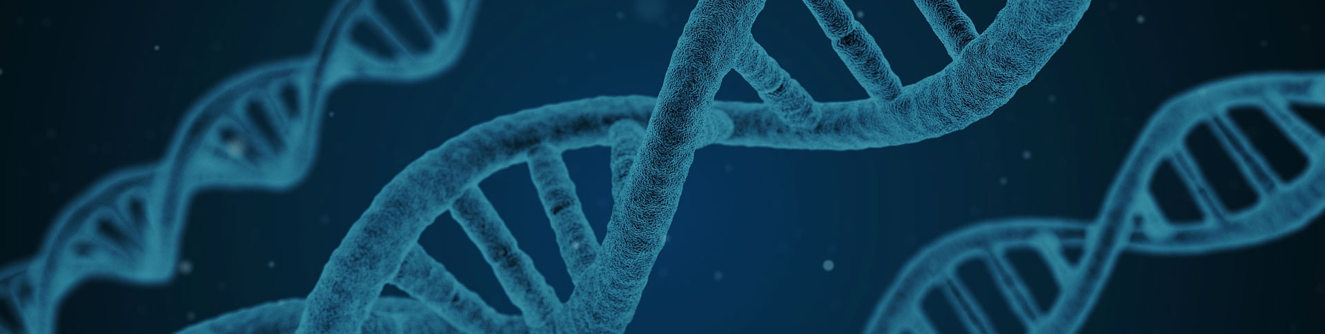 360基因官方網(wǎng)站|一網(wǎng)天行-網(wǎng)站建設(shè)小程序APP系統(tǒng)軟件開(kāi)發(fā)公司 360基因官方網(wǎng)站|一網(wǎng)天行-網(wǎng)站建設(shè)小程序APP系統(tǒng)軟件開(kāi)發(fā)公司