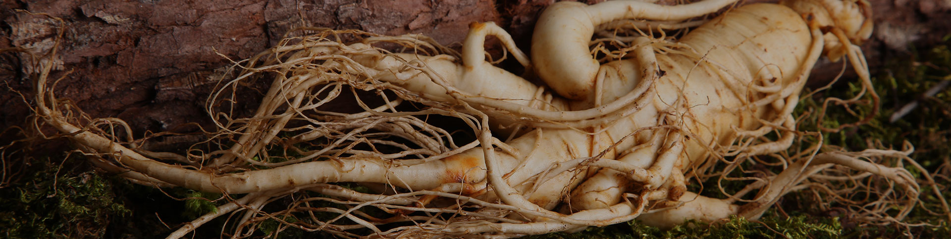 正德藥業(yè)-品牌營銷網(wǎng)站|一網(wǎng)天行-網(wǎng)站建設小程序APP系統(tǒng)軟件開發(fā)公司