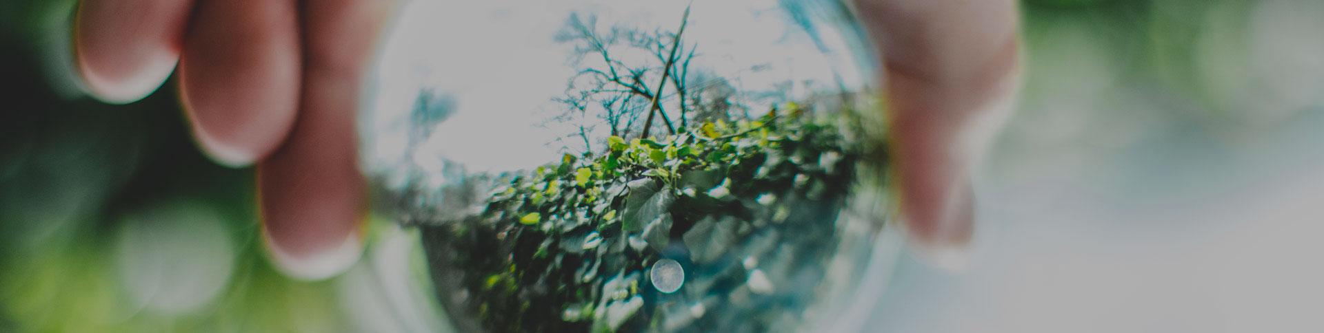 中關村節(jié)能環(huán)保專委會網(wǎng)站|一網(wǎng)天行-網(wǎng)站建設小程序APP系統(tǒng)軟件開發(fā)公司