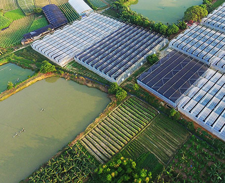 健康產(chǎn)業(yè)集團(tuán)公司品牌宣傳網(wǎng)站|一網(wǎng)天行-網(wǎng)站建設(shè)小程序APP系統(tǒng)軟件開(kāi)發(fā)公司